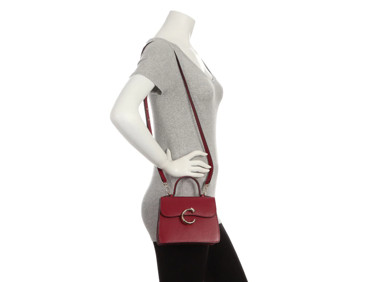 Cartier Mini Red Panthère C de Cartier Bag - Image 9