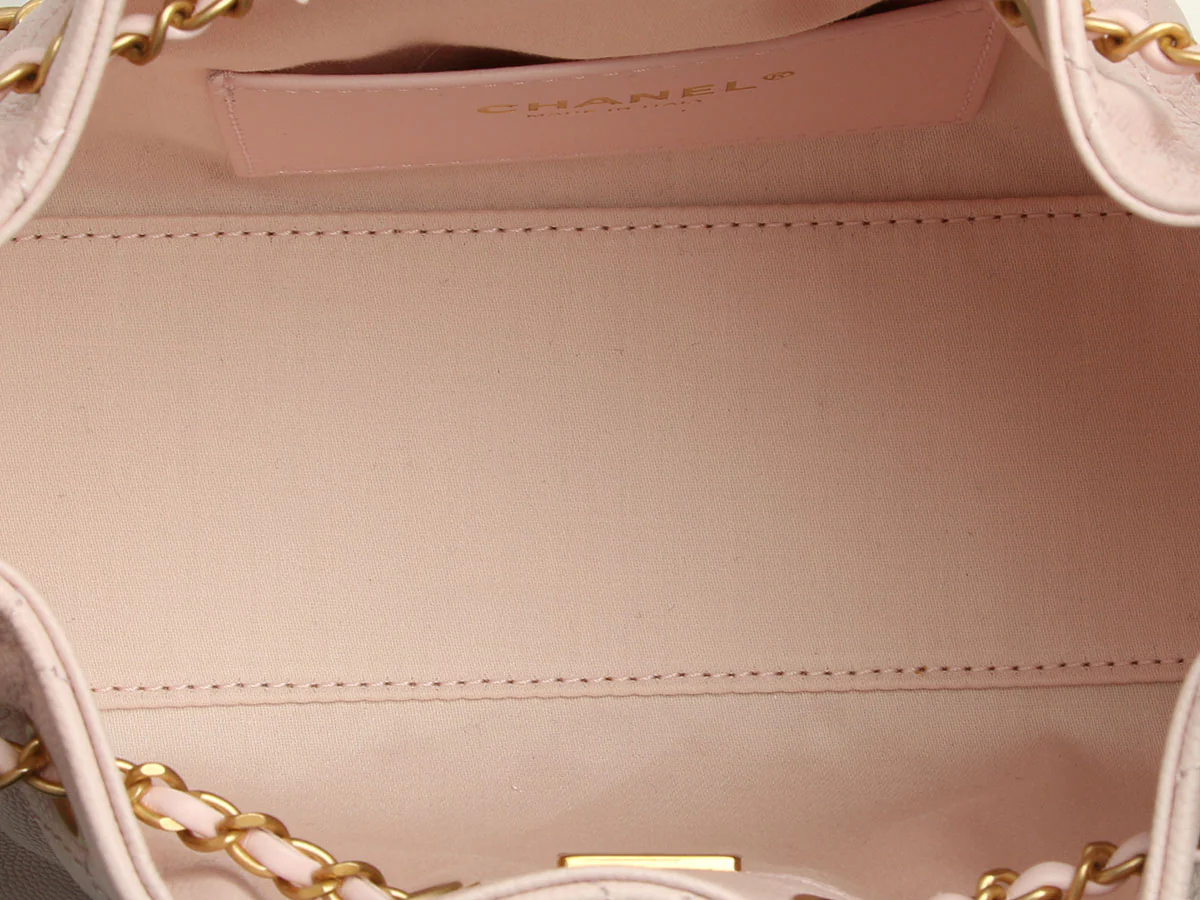 Chanel Mini Rose Clair Caviar 25 Hobo - Image 9