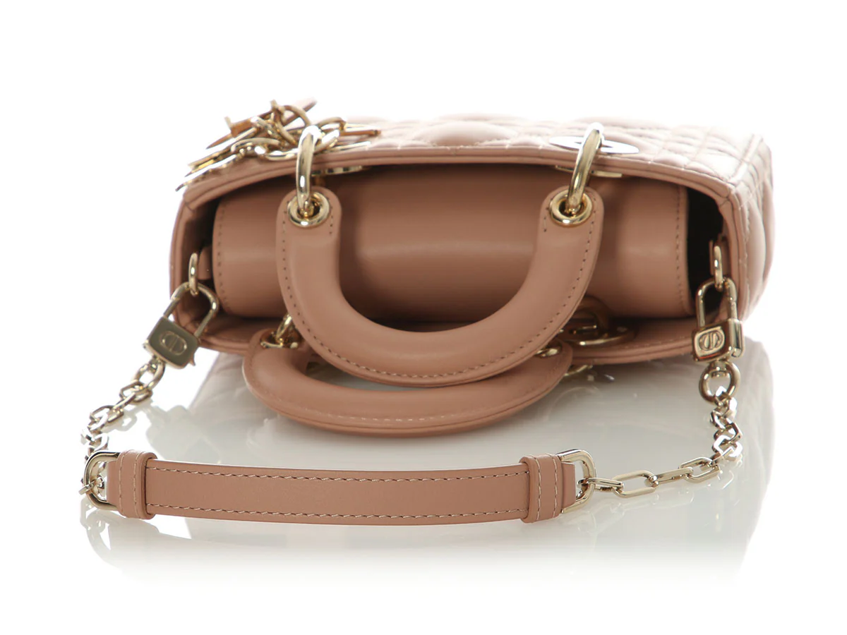 Dior Mini Rose des Vents D-Joy - Image 7