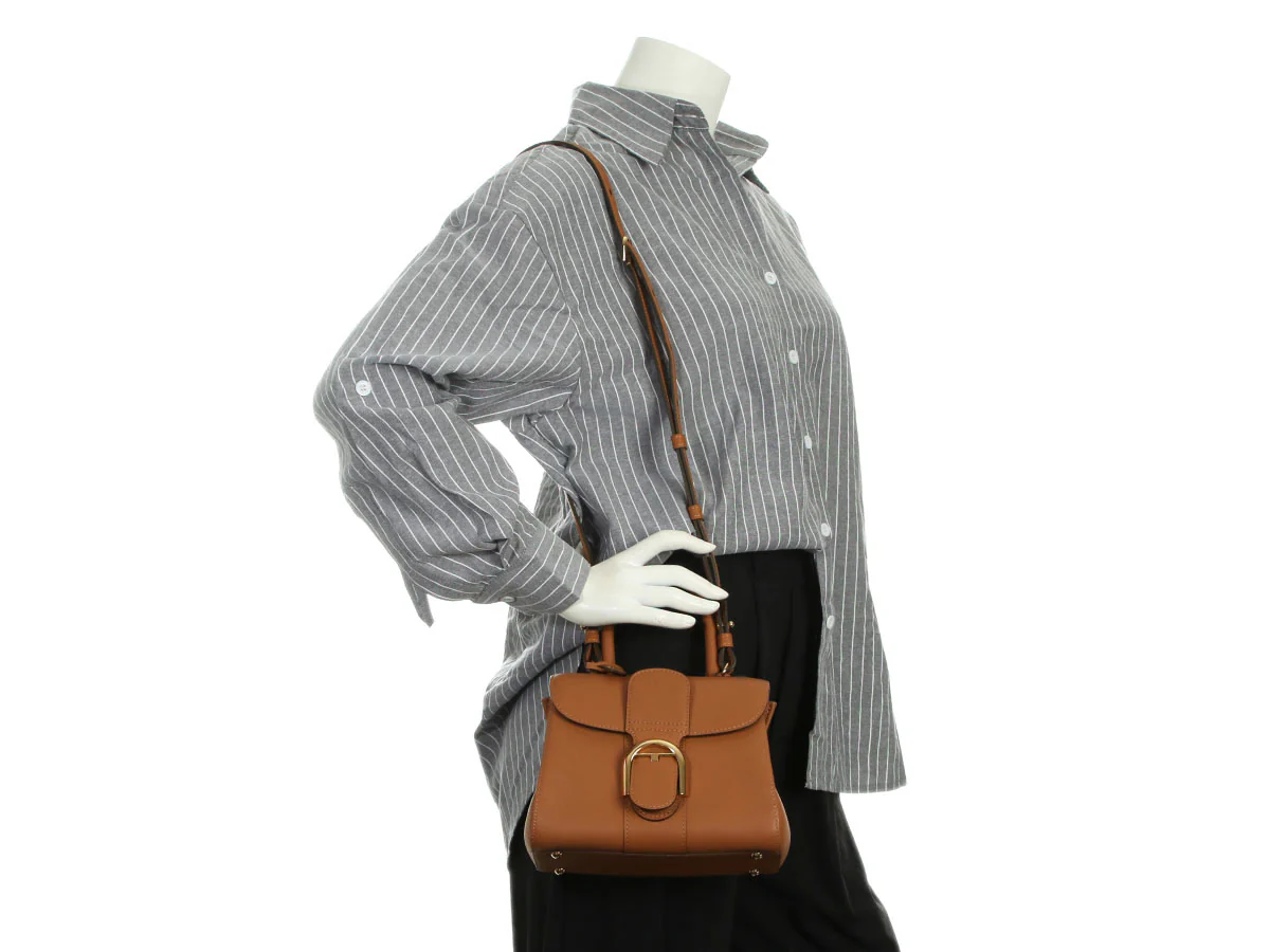Delvaux Mini Vegetal Rodeo Calf Brillant - Image 10