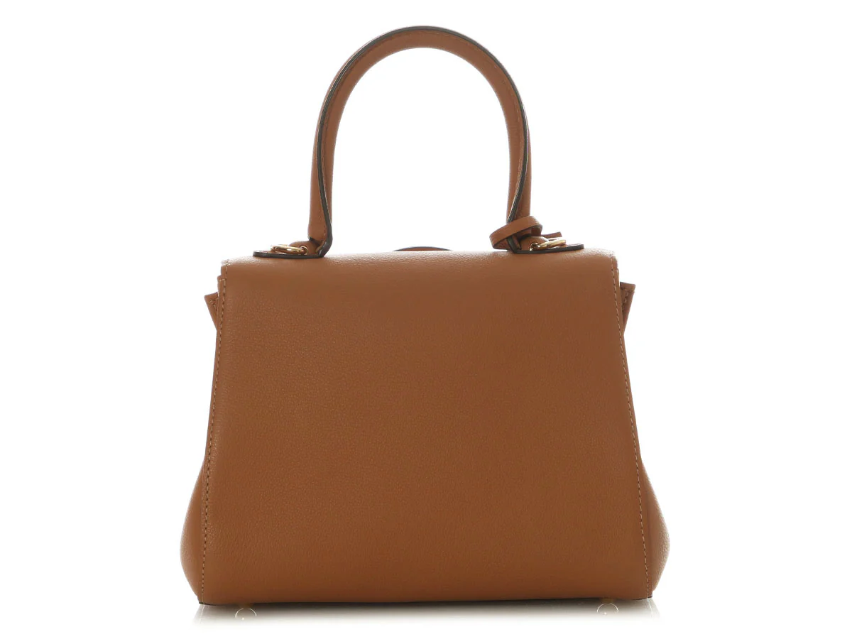 Delvaux Mini Vegetal Rodeo Calf Brillant - Image 5