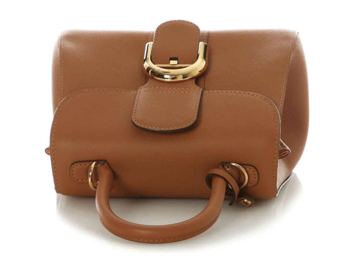 Delvaux Mini Vegetal Rodeo Calf Brillant - Image 8