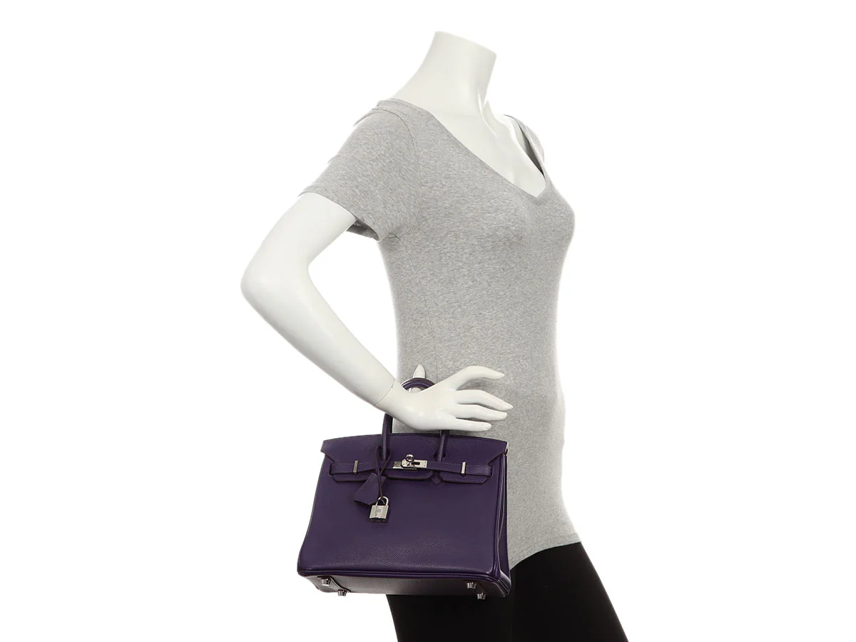 Hermès Iris Epsom Birkin 25 - Image 12