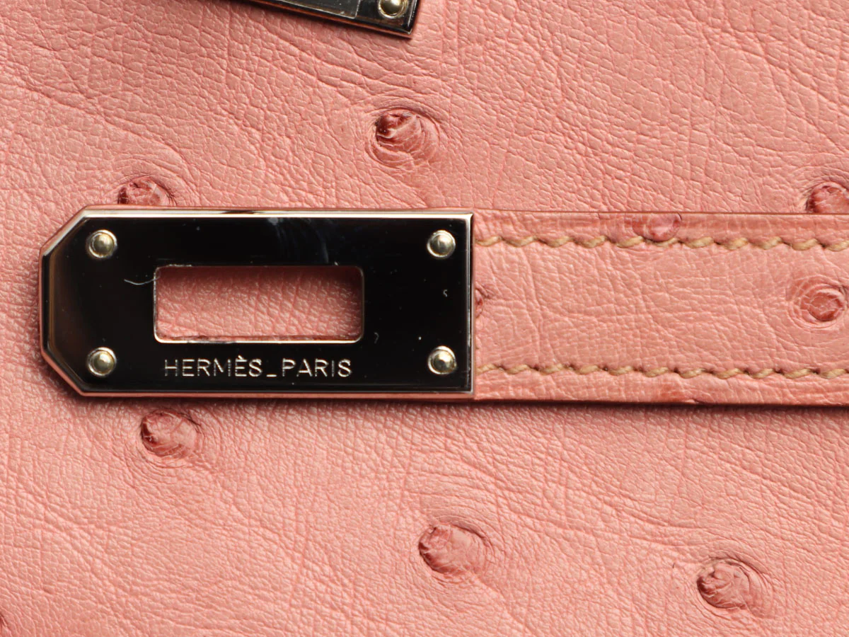 Hermès Terre Cuite Ostrich Kelly Longue Wallet - Image 10