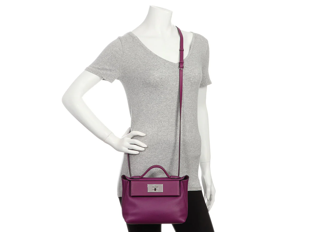 Hermès Mini Anemone Swift and Evercolor 24/24 Bag - Image 12