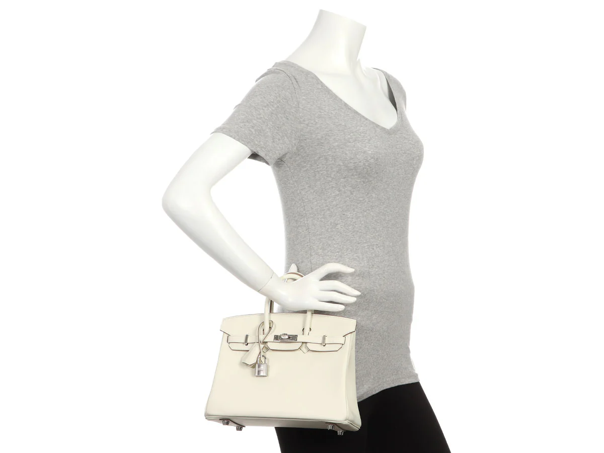 Hermès Mushroom Swift Birkin 25 - Image 12