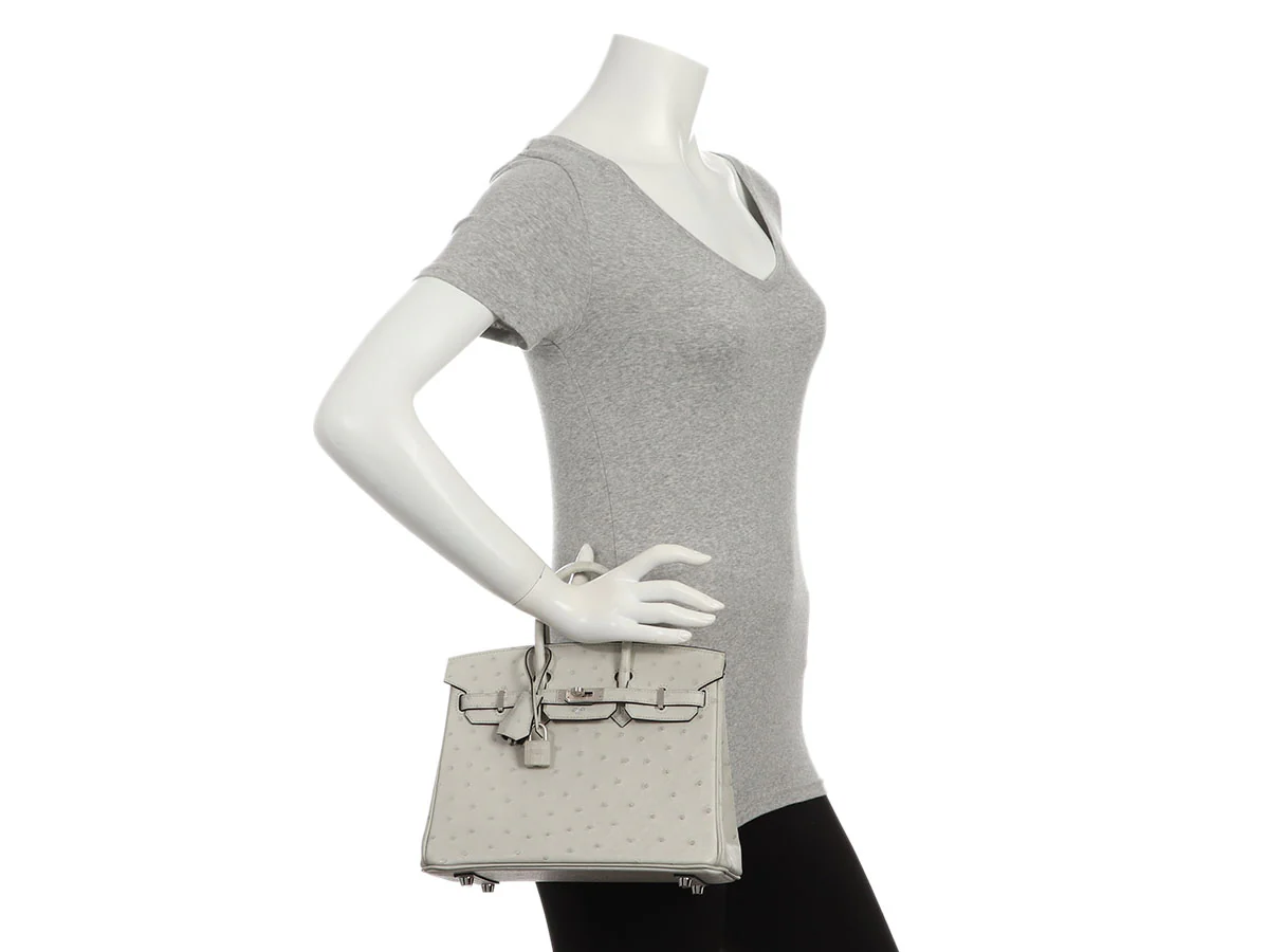 Hermès SO Gris Perle Ostrich Verso Birkin 25 - Image 11