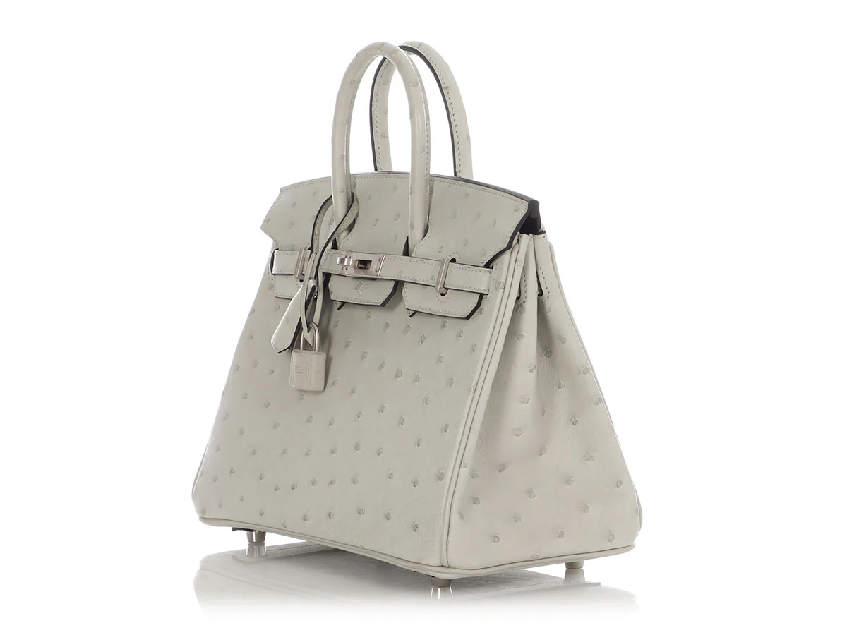 Hermès SO Gris Perle Ostrich Verso Birkin 25 - Image 3