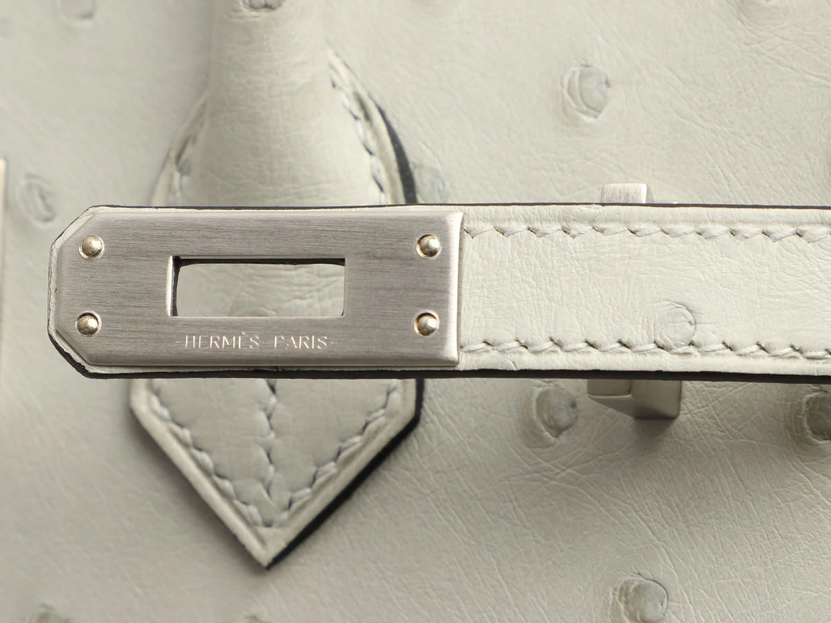 Hermès SO Gris Perle Ostrich Verso Birkin 25 - Image 9