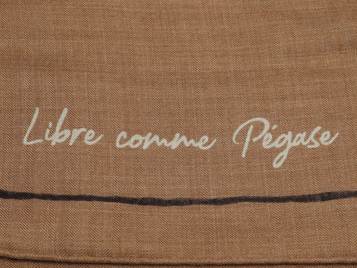 Hermès Libre Comme Pegase Cashmere Silk Shawl 140cm - Image 2