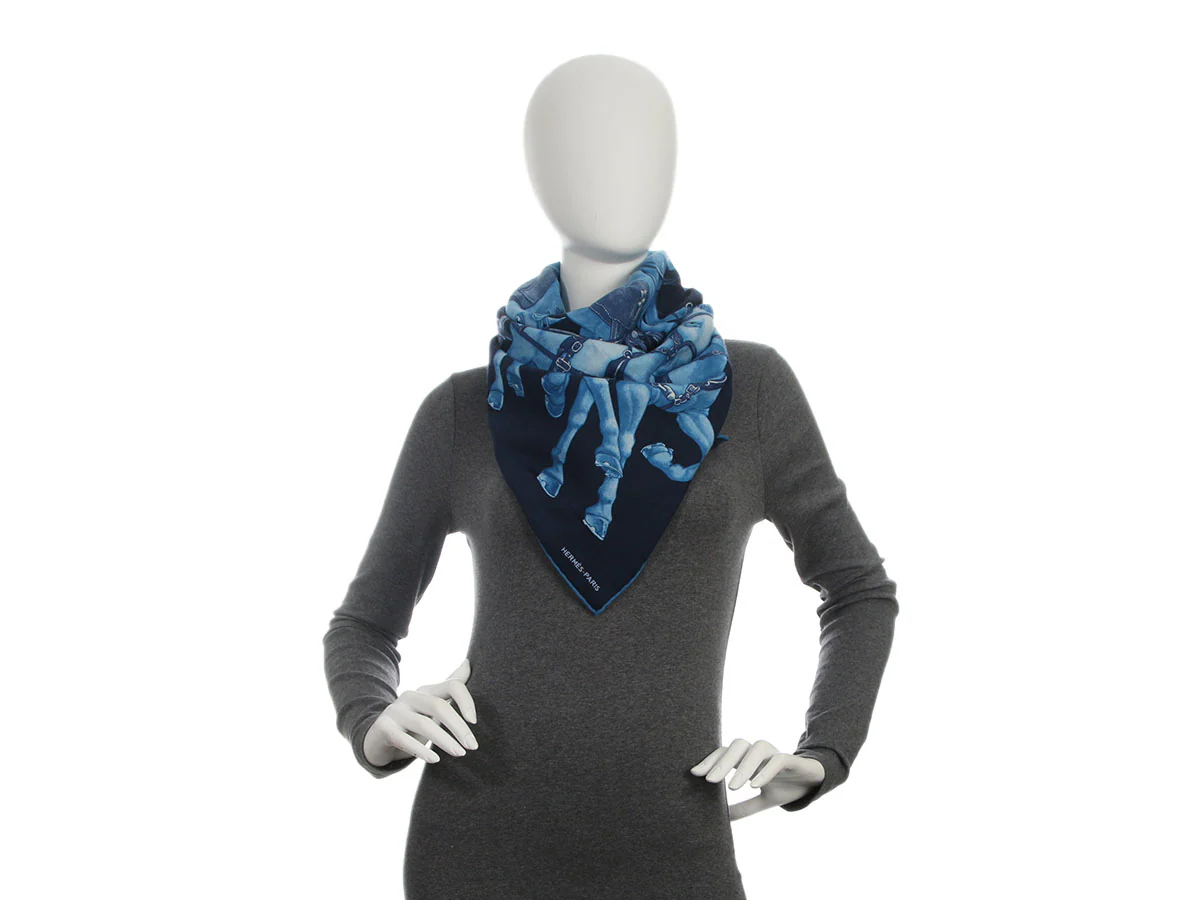 Hermès Grand Carrosse Royal Cashmere Silk Shawl 100cm - Image 4