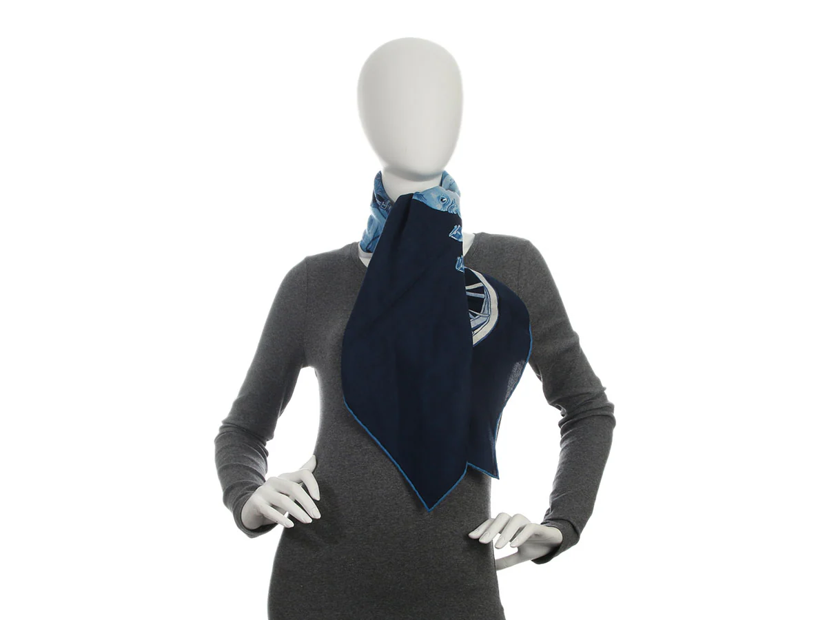 Hermès Grand Carrosse Royal Cashmere Silk Shawl 100cm - Image 5