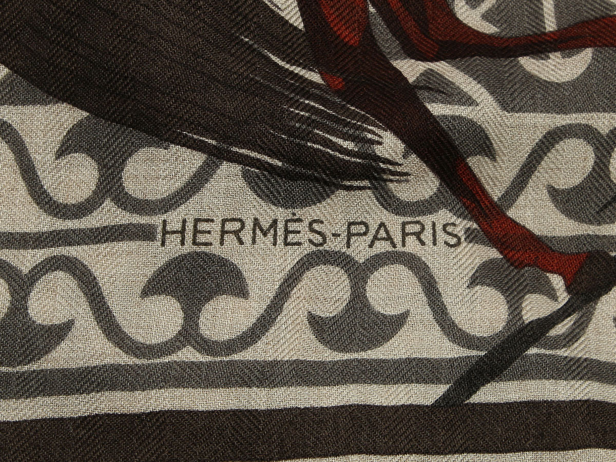 Hermès Imprimeur Fou Charabia Cashmere Silk Shawl 140cm - Image 2