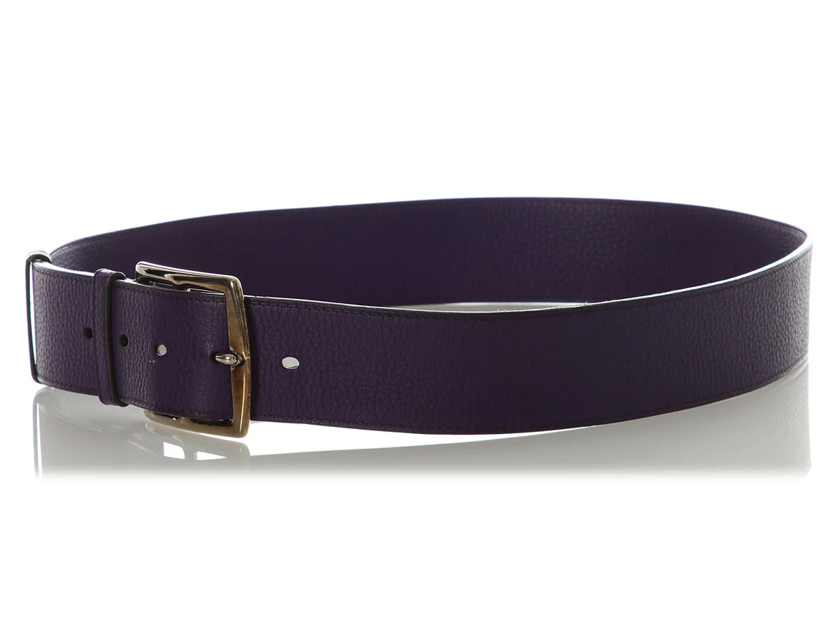 Hermès Iris Etrivière Belt - Image 2