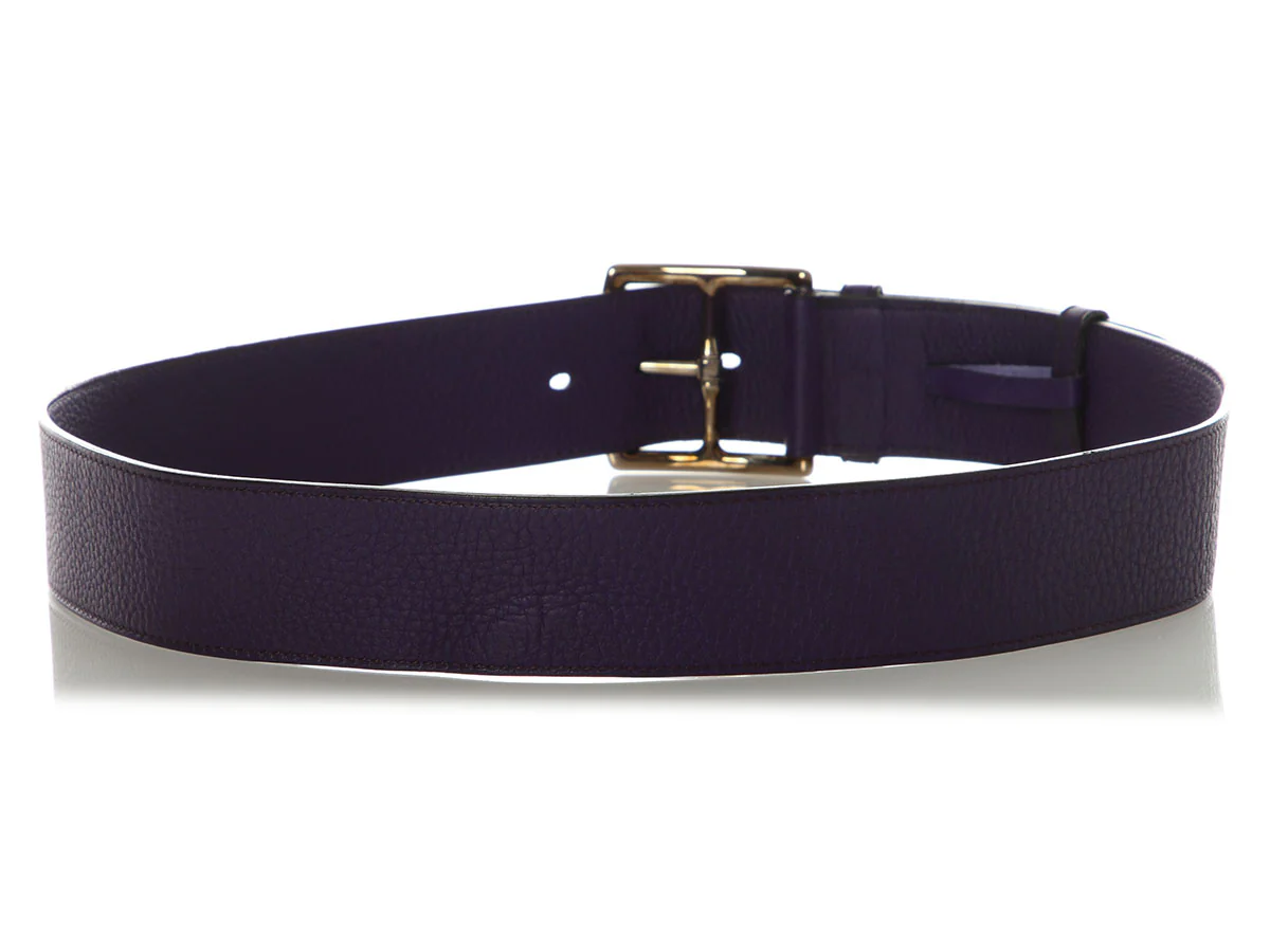 Hermès Iris Etrivière Belt - Image 3