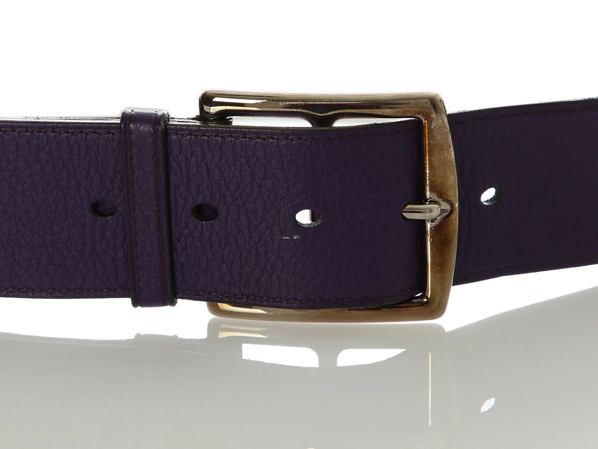 Hermès Iris Etrivière Belt - Image 5