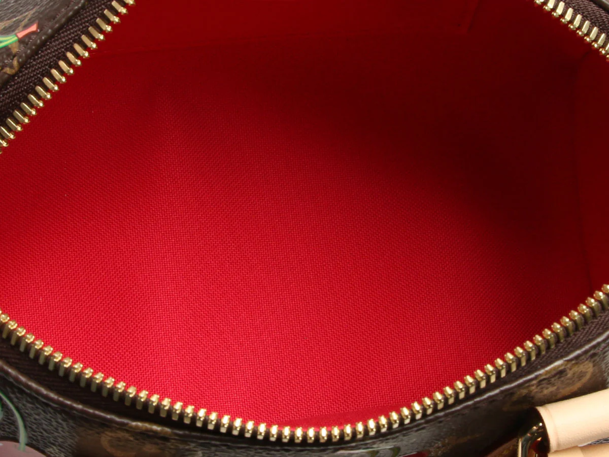 Louis Vuitton LV x TM Cherry Speedy Bandoulière 20 - Image 9