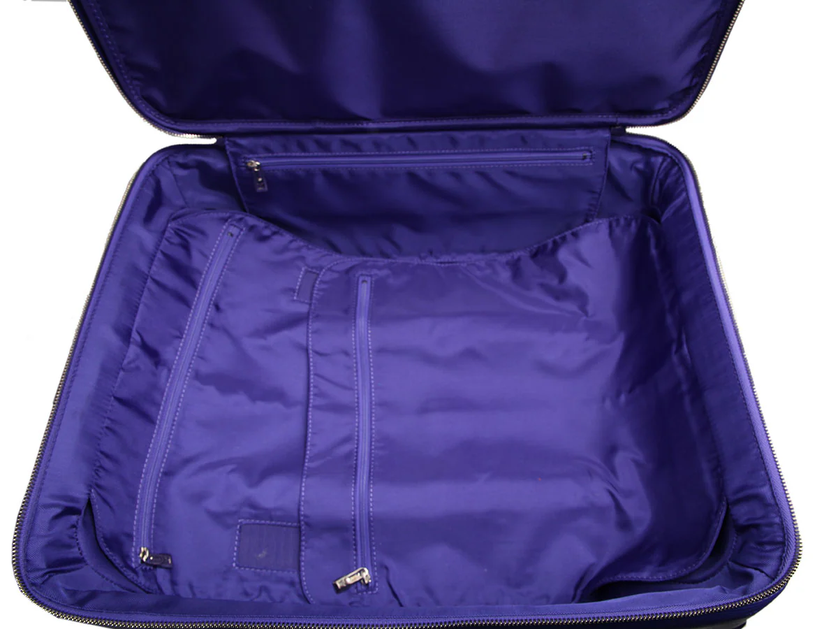 Louis Vuitton Figue Epi Pégase Suitcase 45 - Image 9