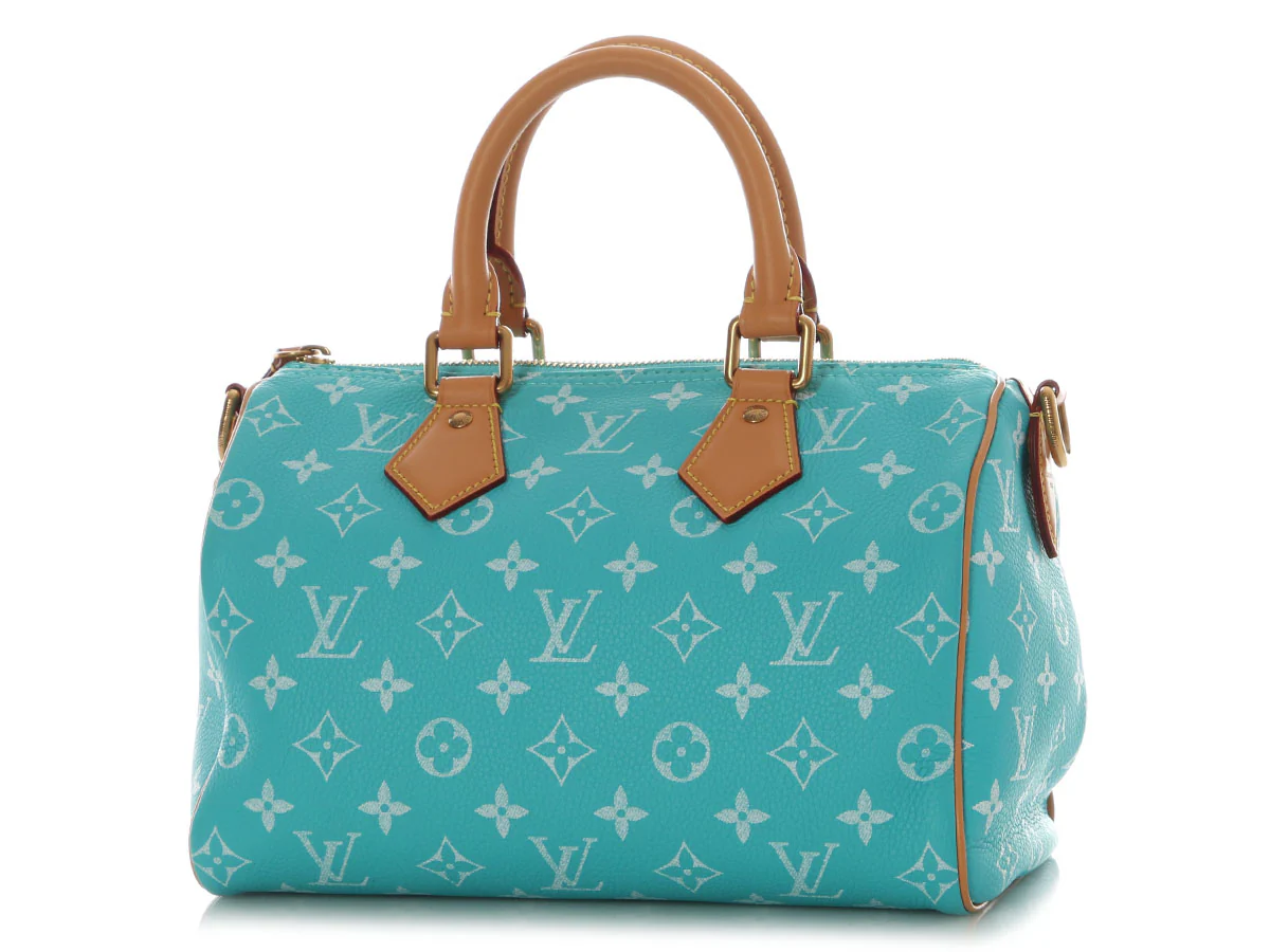Louis Vuitton Turquoise Calfskin Speedy P9 Bandoulière 25 - Image 3