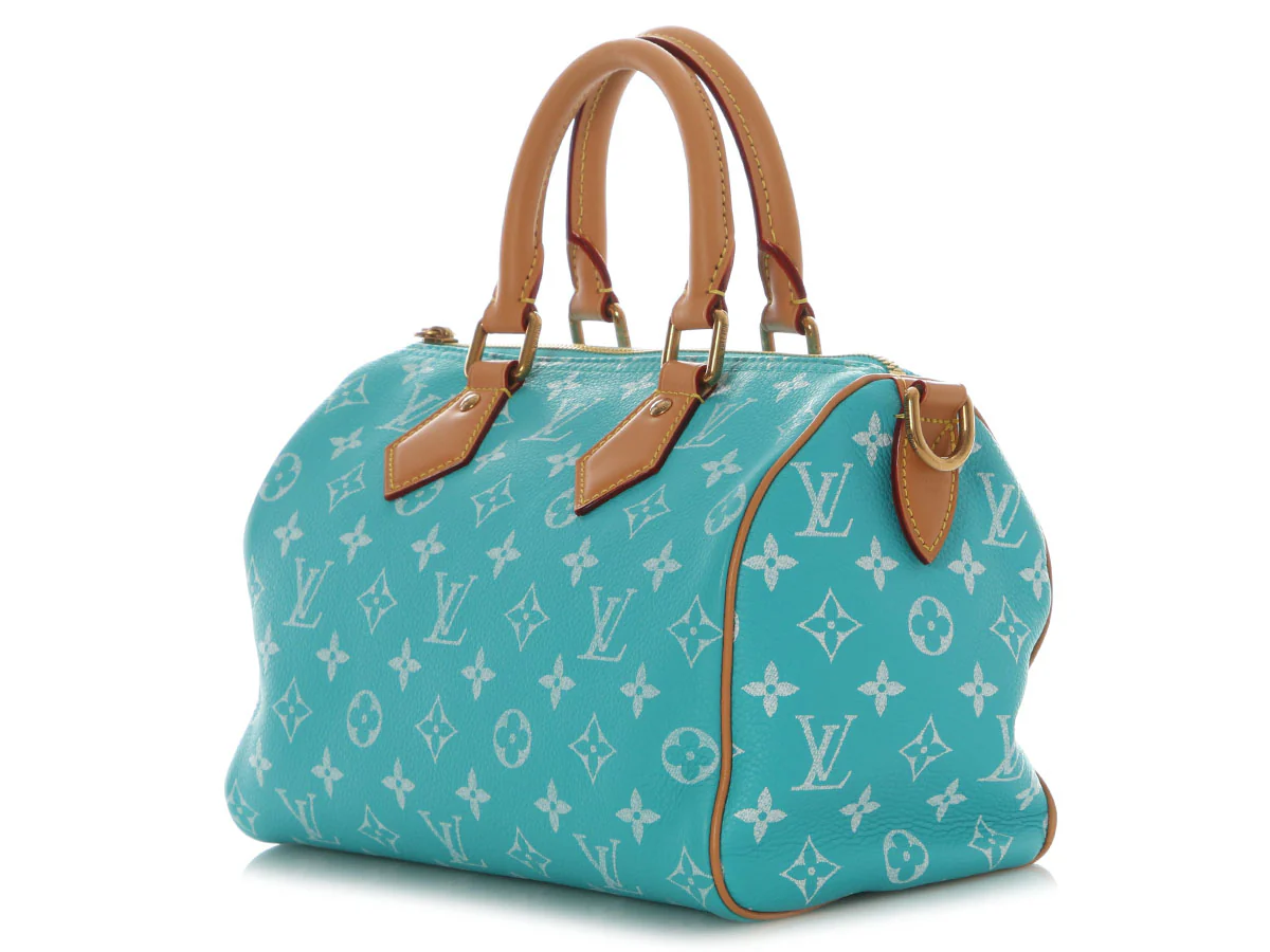 Louis Vuitton Turquoise Calfskin Speedy P9 Bandoulière 25 - Image 4