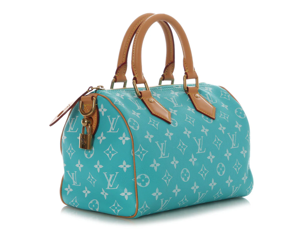 Louis Vuitton Turquoise Calfskin Speedy P9 Bandoulière 25 - Image 6