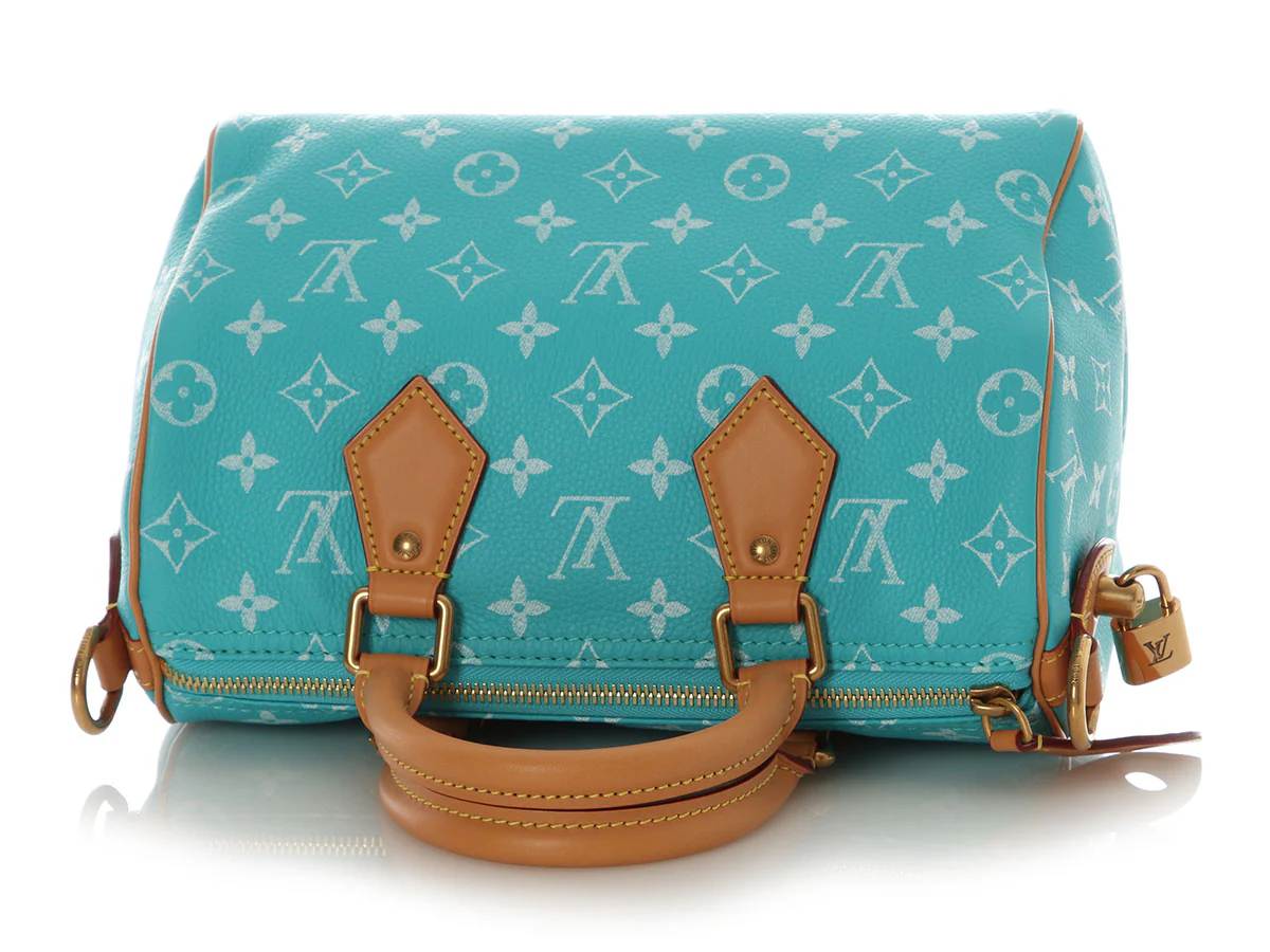 Louis Vuitton Turquoise Calfskin Speedy P9 Bandoulière 25 - Image 8