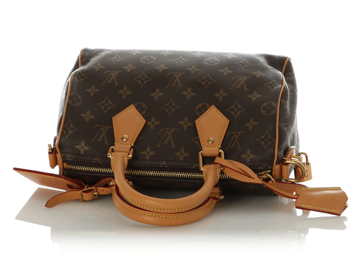 Louis Vuitton Monogram Speedy P9 Bandoulière 25 - Image 8