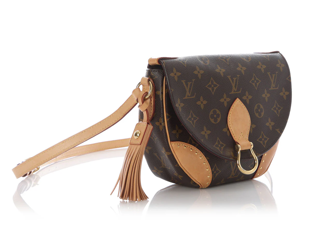 Louis Vuitton Monogram Saint Cloud NM - Image 5
